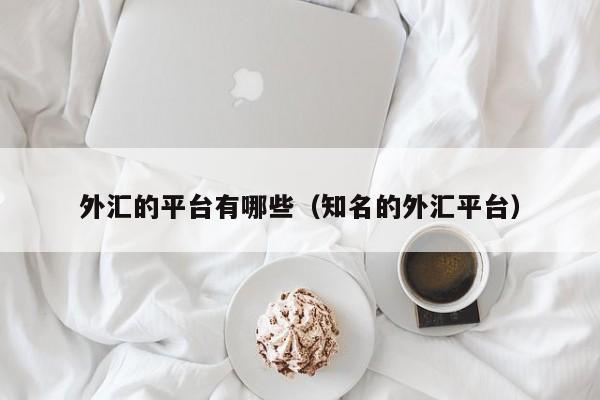 外汇的平台有哪些（知名的外汇平台）