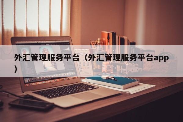 外汇管理服务平台（外汇管理服务平台app）