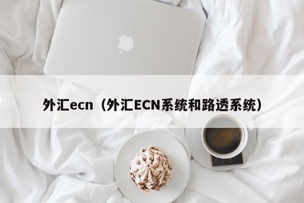 外汇ecn（外汇ECN系统和路透系统）