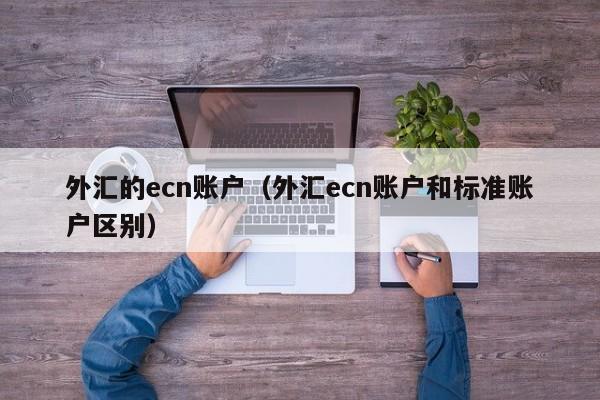 外汇的ecn账户（外汇ecn账户和标准账户区别）