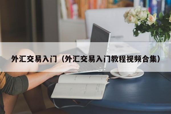 外汇交易入门（外汇交易入门教程视频合集）