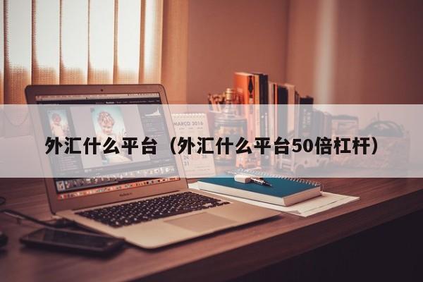 外汇什么平台（外汇什么平台50倍杠杆）