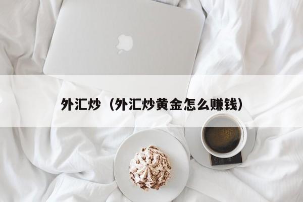 外汇炒（外汇炒黄金怎么赚钱）