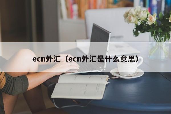 ecn外汇（ecn外汇是什么意思）