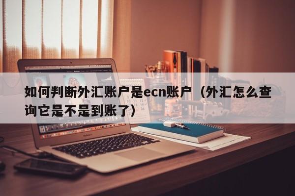 如何判断外汇账户是ecn账户（外汇怎么查询它是不是到账了）