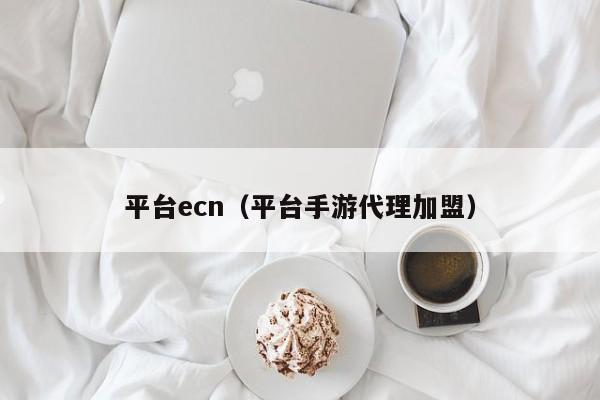 平台ecn（平台手游代理加盟）