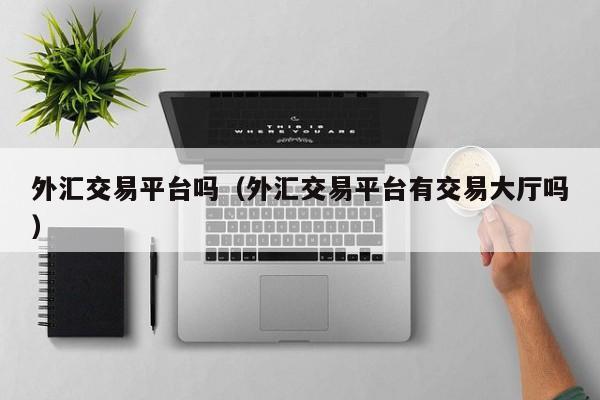 外汇交易平台吗（外汇交易平台有交易大厅吗）