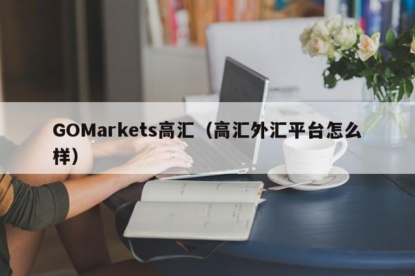 GOMarkets高汇（高汇外汇平台怎么样）