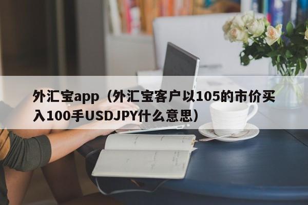 外汇宝app（外汇宝客户以105的市价买入100手USDJPY什么意思）