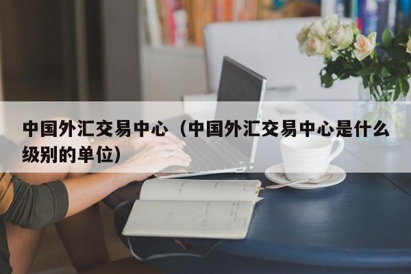 中国外汇交易中心（中国外汇交易中心是什么级别的单位）