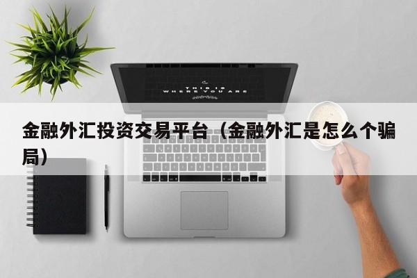 金融外汇投资交易平台（金融外汇是怎么个骗局）