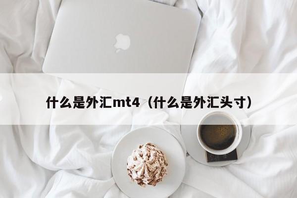 什么是外汇mt4（什么是外汇头寸）