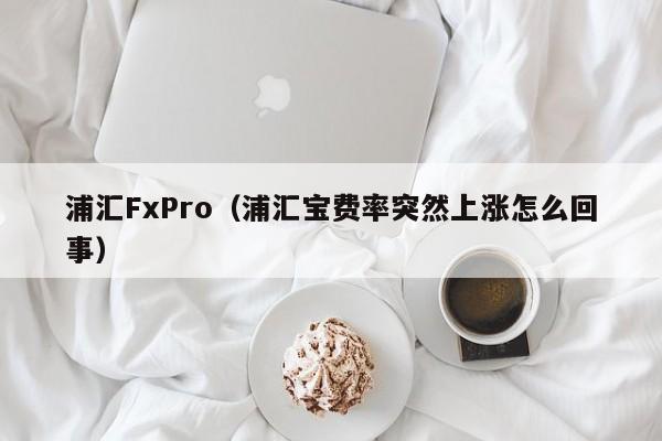 浦汇FxPro（浦汇宝费率突然上涨怎么回事）