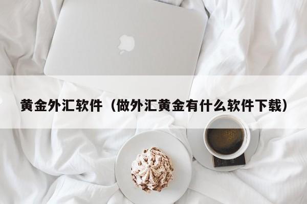 黄金外汇软件（做外汇黄金有什么软件下载）