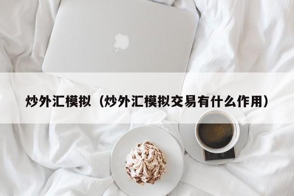 炒外汇模拟（炒外汇模拟交易有什么作用）