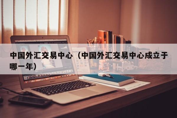 中国外汇交易中心（中国外汇交易中心成立于哪一年）
