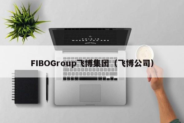 FIBOGroup飞博集团（飞博公司）