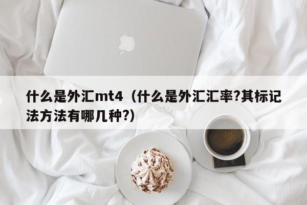 什么是外汇mt4（什么是外汇汇率?其标记法方法有哪几种?）
