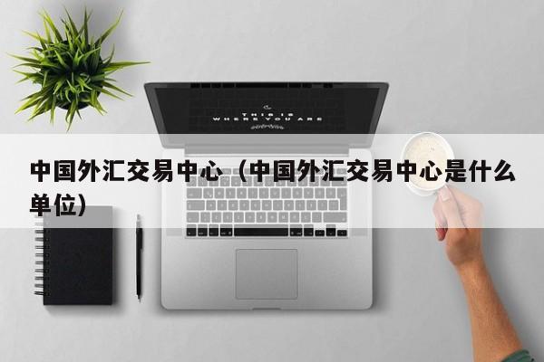 中国外汇交易中心（中国外汇交易中心是什么单位）