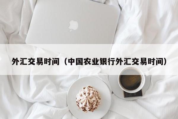 外汇交易时间（中国农业银行外汇交易时间）