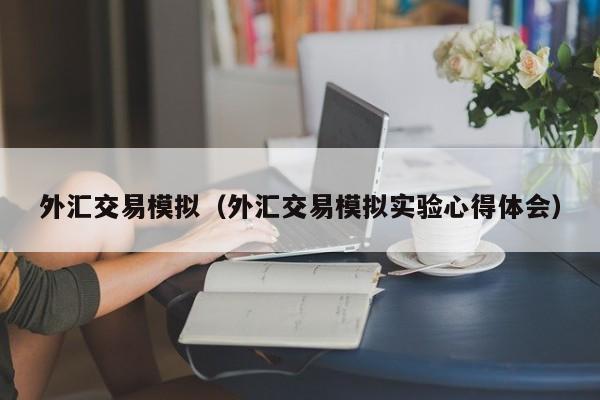 外汇交易模拟（外汇交易模拟实验心得体会）