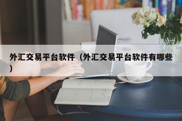 外汇交易平台软件（外汇交易平台软件有哪些）