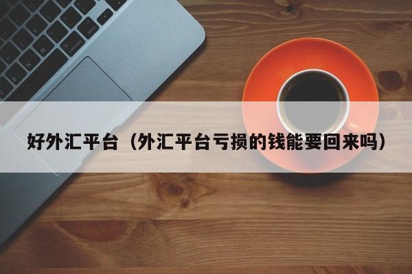 好外汇平台（外汇平台亏损的钱能要回来吗）