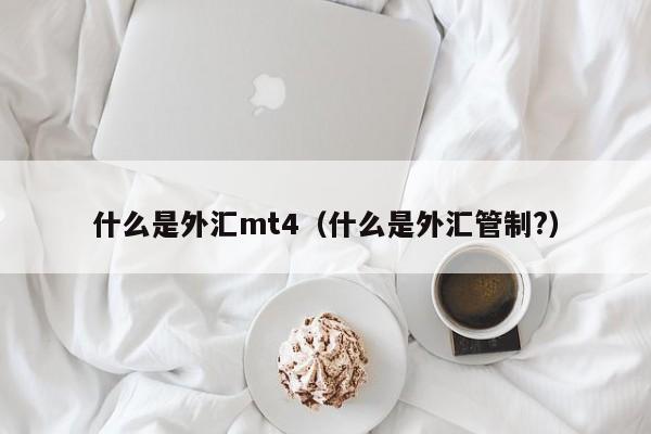 什么是外汇mt4（什么是外汇管制?）