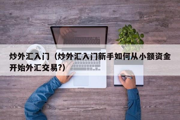 炒外汇入门（炒外汇入门新手如何从小额资金开始外汇交易?）