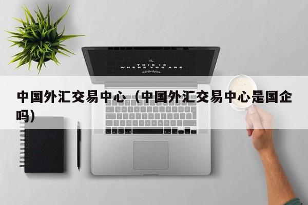 中国外汇交易中心（中国外汇交易中心是国企吗）