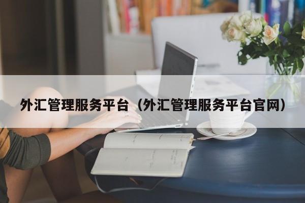 外汇管理服务平台（外汇管理服务平台官网）