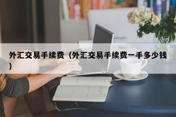 外汇交易手续费（外汇交易手续费一手多少钱）