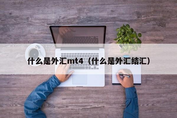 什么是外汇mt4（什么是外汇结汇）