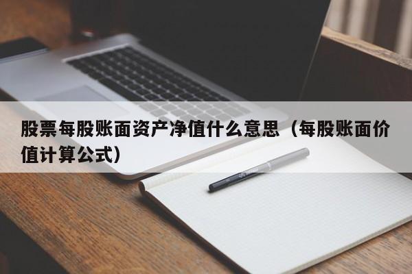 股票每股账面资产净值什么意思（每股账面价值计算公式）