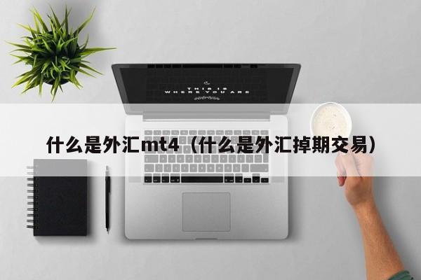 什么是外汇mt4（什么是外汇掉期交易）