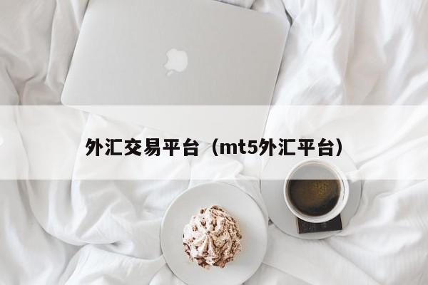 外汇交易平台（mt5外汇平台）
