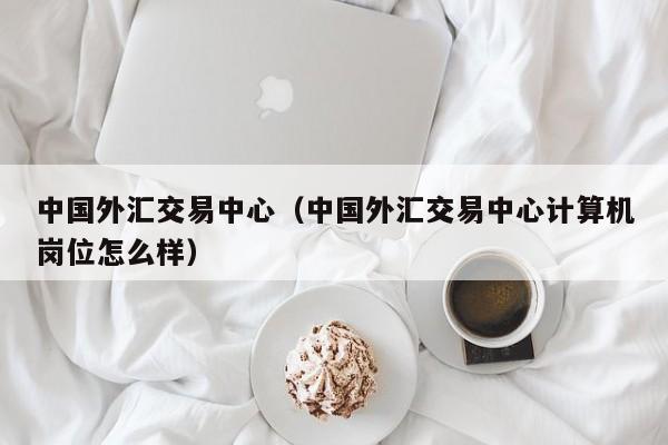 中国外汇交易中心（中国外汇交易中心计算机岗位怎么样）