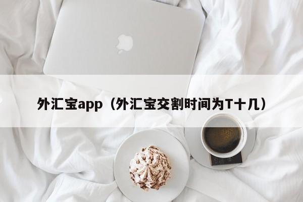 外汇宝app（外汇宝交割时间为T十几）