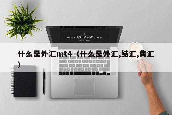 什么是外汇mt4（什么是外汇,结汇,售汇）