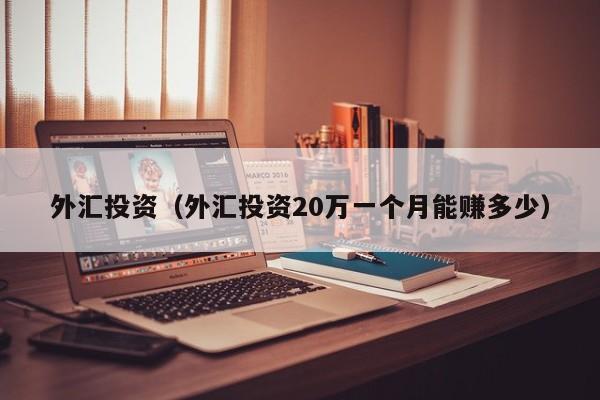 外汇投资（外汇投资20万一个月能赚多少）