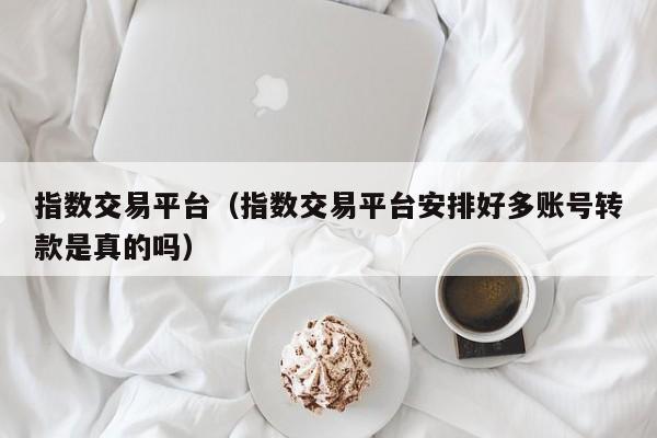 指数交易平台（指数交易平台安排好多账号转款是真的吗）