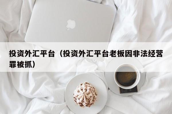 投资外汇平台（投资外汇平台老板因非法经营罪被抓）