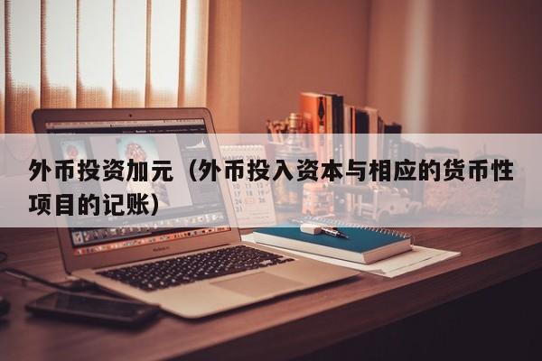 外币投资加元（外币投入资本与相应的货币性项目的记账）