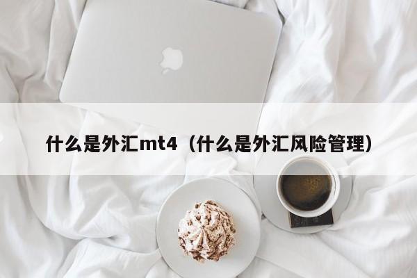 什么是外汇mt4（什么是外汇风险管理）