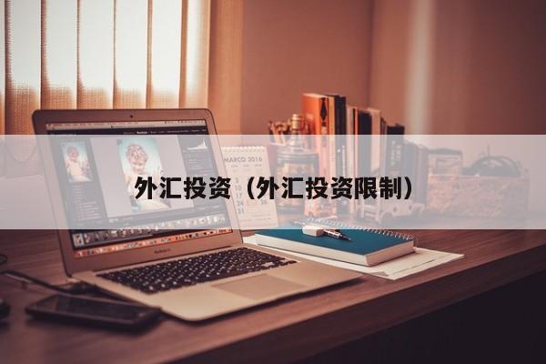外汇投资（外汇投资限制）