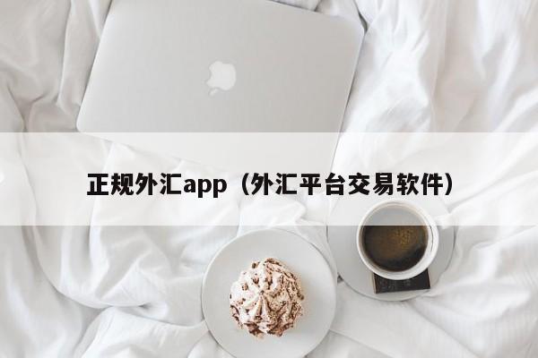 正规外汇app（外汇平台交易软件）
