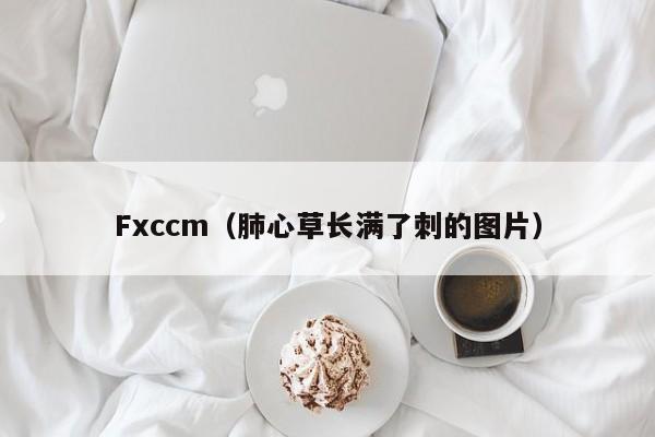Fxccm（肺心草长满了刺的图片）