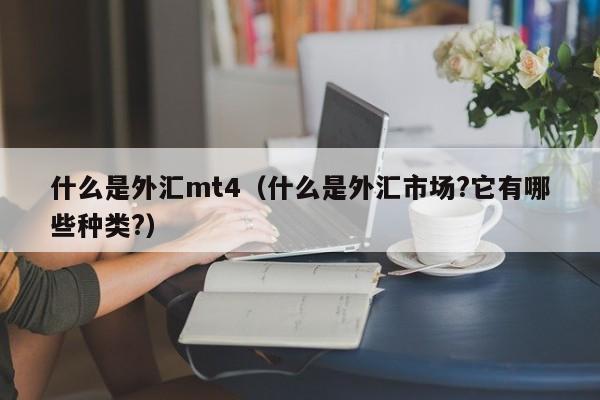 什么是外汇mt4（什么是外汇市场?它有哪些种类?）