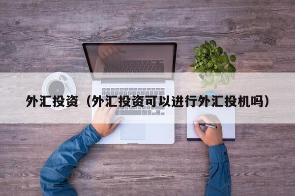 外汇投资（外汇投资可以进行外汇投机吗）