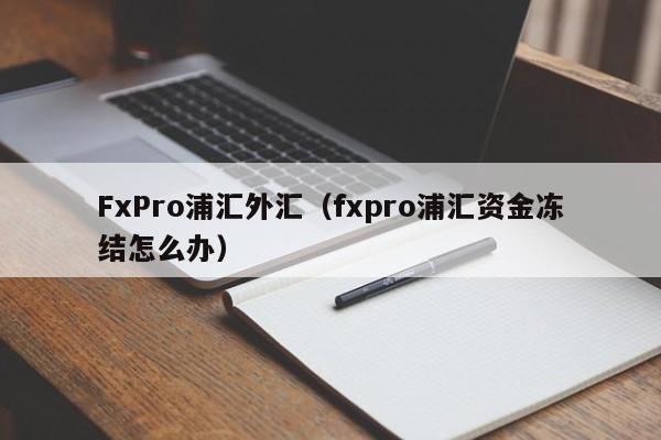 FxPro浦汇外汇（fxpro浦汇资金冻结怎么办）